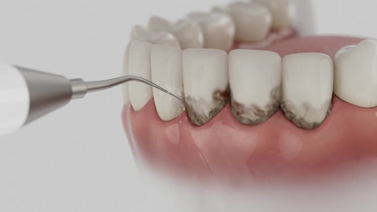 Reliable Dental contractor in Meadowbrook, VA by Dentist Open Now